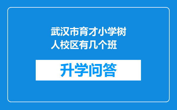 武汉市育才小学树人校区有几个班