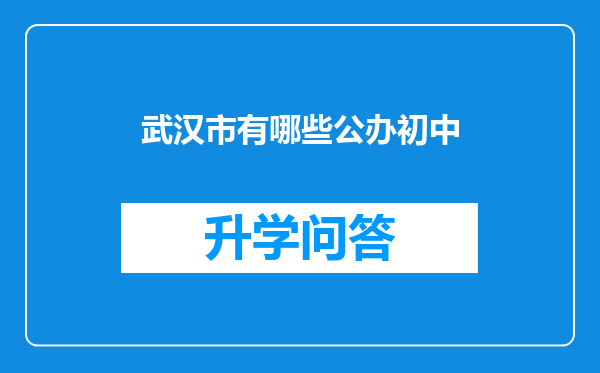 武汉市有哪些公办初中