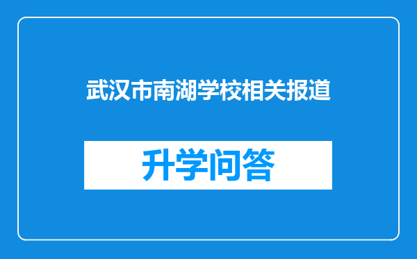 武汉市南湖学校相关报道