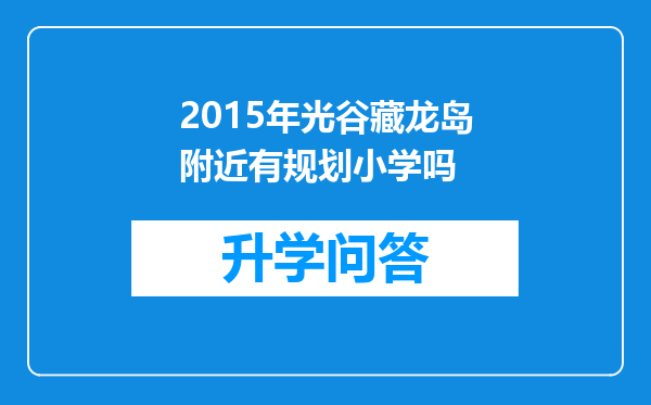 2015年光谷藏龙岛附近有规划小学吗