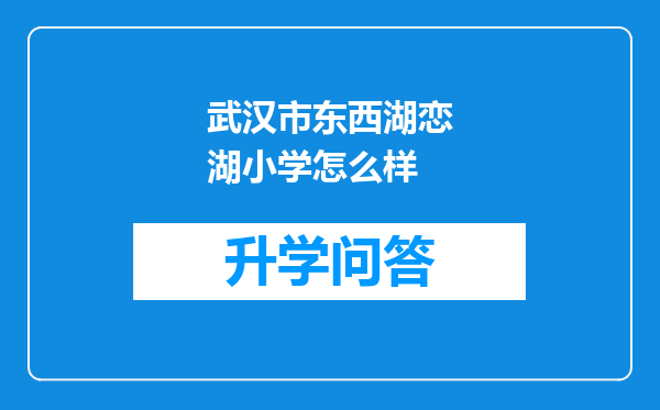 武汉市东西湖恋湖小学怎么样