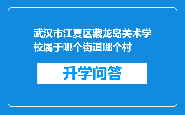 武汉市江夏区藏龙岛美术学校属于哪个街道哪个村