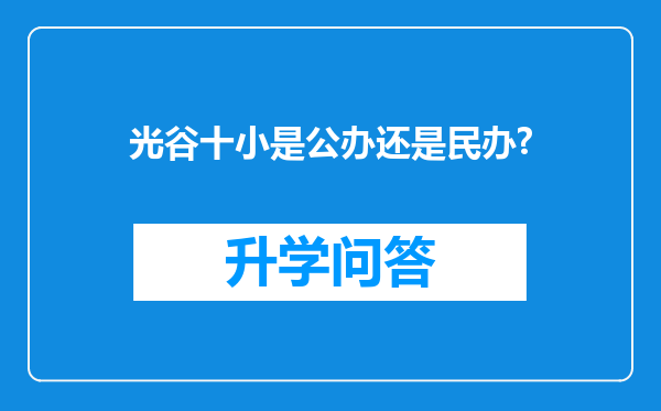 光谷十小是公办还是民办?