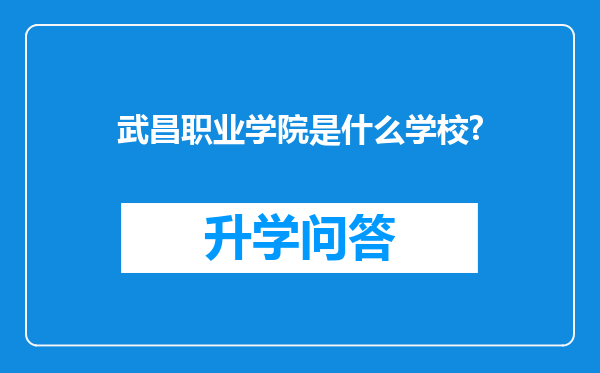 武昌职业学院是什么学校?