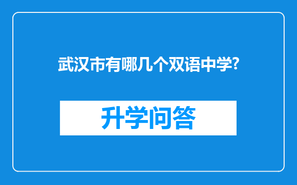 武汉市有哪几个双语中学?