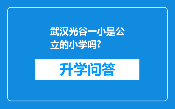 武汉光谷一小是公立的小学吗?