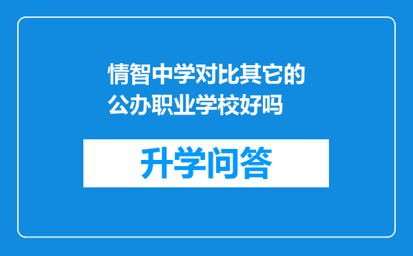 情智中学对比其它的公办职业学校好吗