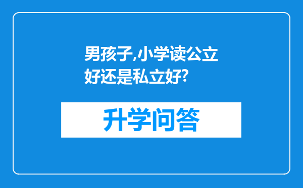 男孩子,小学读公立好还是私立好?