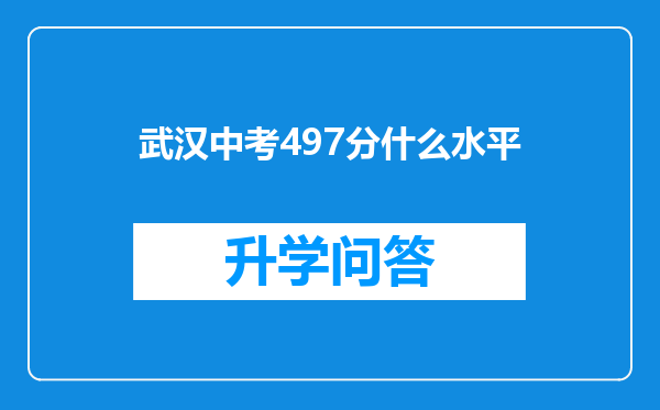 武汉中考497分什么水平