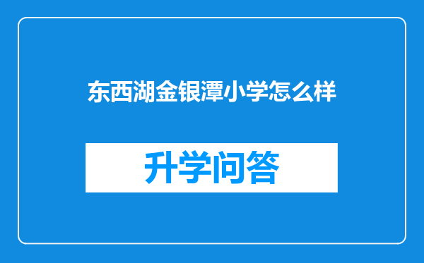 东西湖金银潭小学怎么样