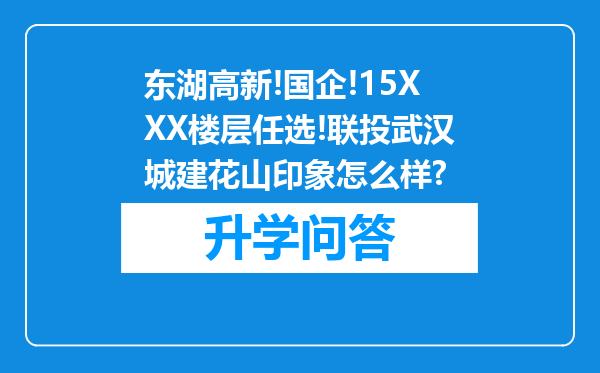 东湖高新!国企!15XXX楼层任选!联投武汉城建花山印象怎么样?