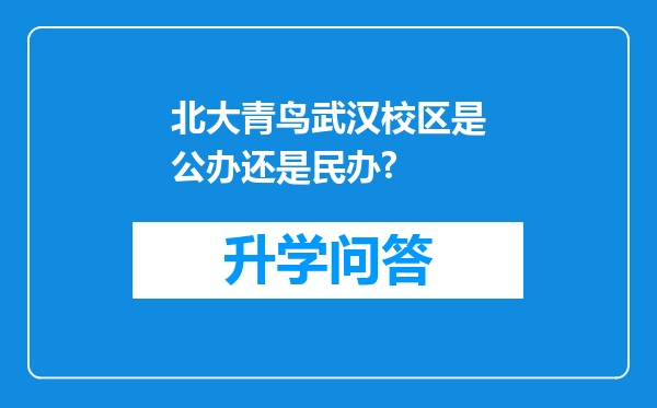 北大青鸟武汉校区是公办还是民办?