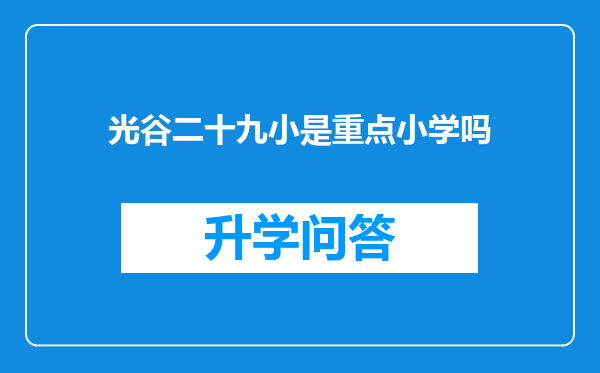 光谷二十九小是重点小学吗