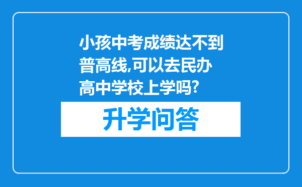 小孩中考成绩达不到普高线,可以去民办高中学校上学吗?