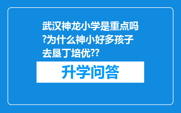 武汉神龙小学是重点吗?为什么神小好多孩子去垦丁培优??