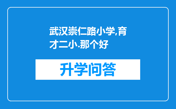 武汉崇仁路小学,育才二小.那个好