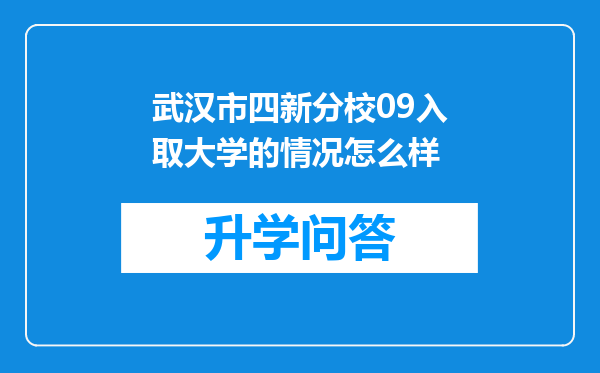 武汉市四新分校09入取大学的情况怎么样