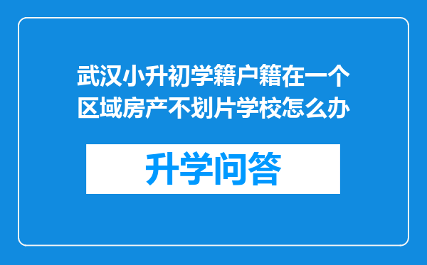 武汉小升初学籍户籍在一个区域房产不划片学校怎么办