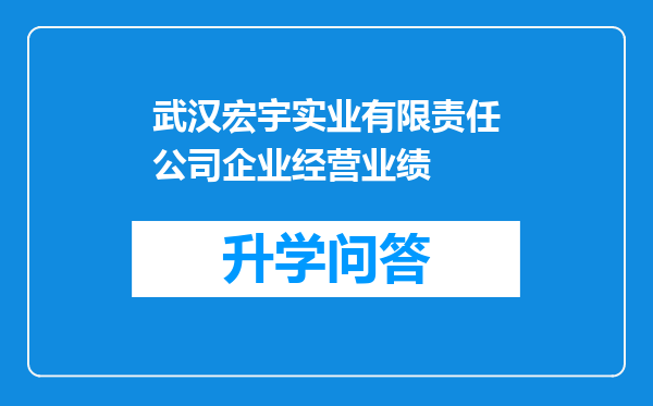 武汉宏宇实业有限责任公司企业经营业绩