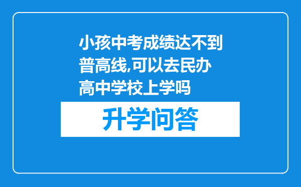 小孩中考成绩达不到普高线,可以去民办高中学校上学吗