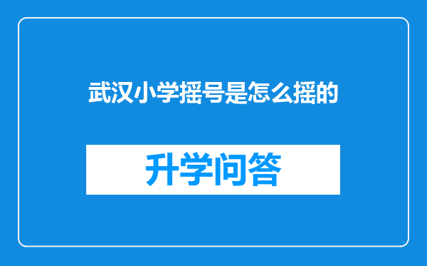 武汉小学摇号是怎么摇的