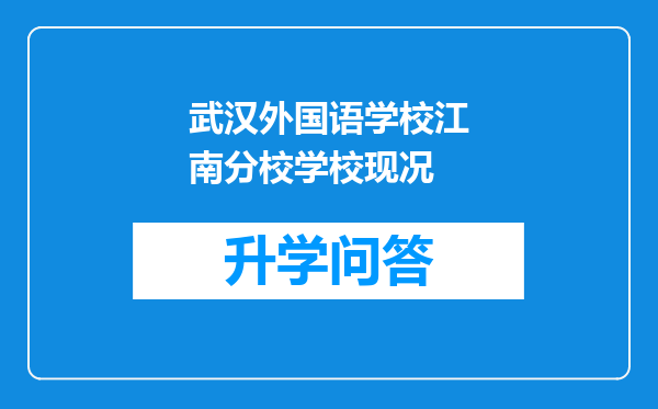 武汉外国语学校江南分校学校现况