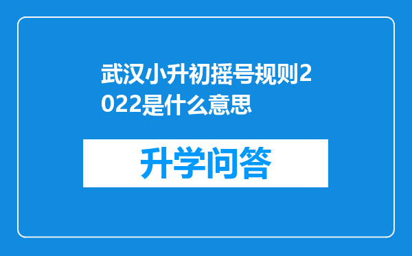 武汉小升初摇号规则2022是什么意思