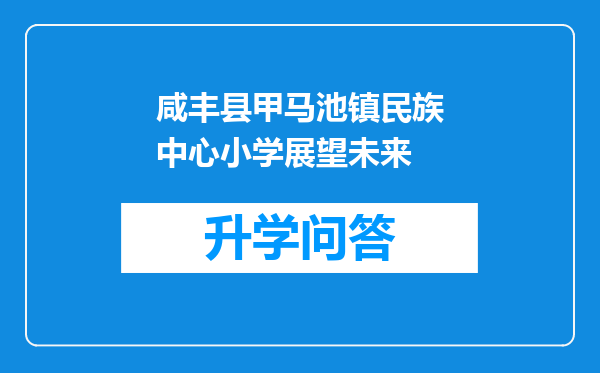 咸丰县甲马池镇民族中心小学展望未来