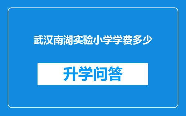 武汉南湖实验小学学费多少