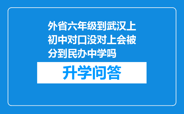 外省六年级到武汉上初中对口没对上会被分到民办中学吗