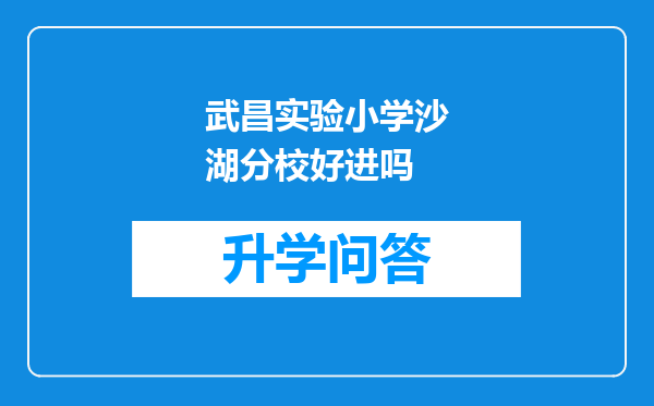 武昌实验小学沙湖分校好进吗