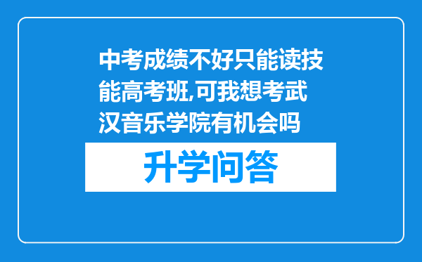 中考成绩不好只能读技能高考班,可我想考武汉音乐学院有机会吗