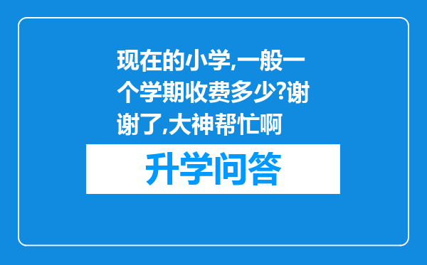 现在的小学,一般一个学期收费多少?谢谢了,大神帮忙啊