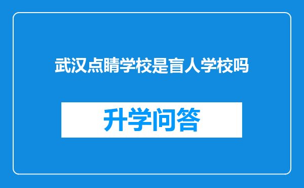 武汉点睛学校是盲人学校吗