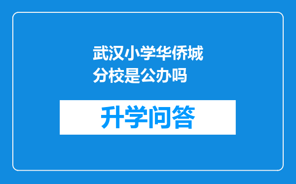 武汉小学华侨城分校是公办吗