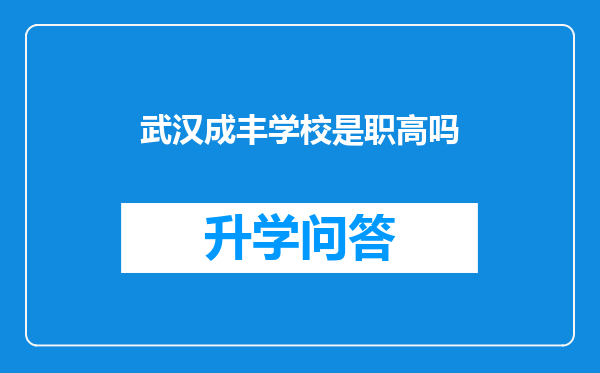 武汉成丰学校是职高吗