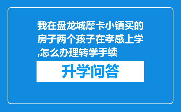 我在盘龙城摩卡小镇买的房子两个孩子在孝感上学,怎么办理转学手续