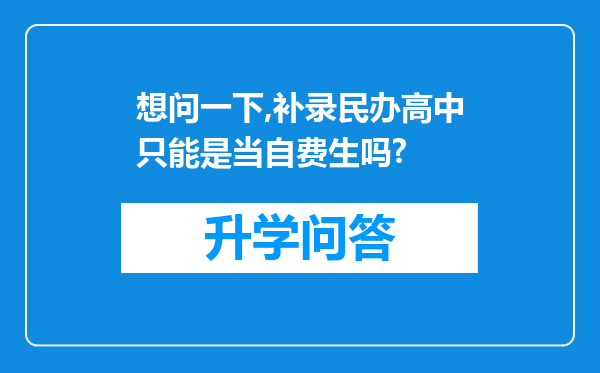 想问一下,补录民办高中只能是当自费生吗?