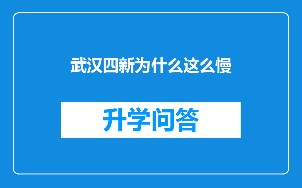 武汉四新为什么这么慢