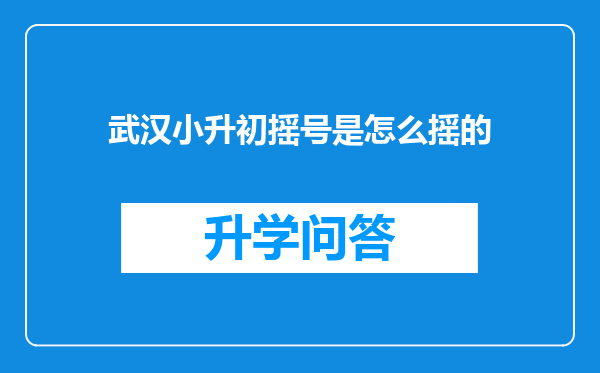 武汉小升初摇号是怎么摇的