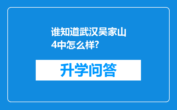 谁知道武汉吴家山4中怎么样?