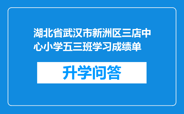 湖北省武汉市新洲区三店中心小学五三班学习成绩单