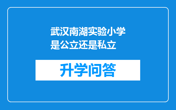 武汉南湖实验小学是公立还是私立