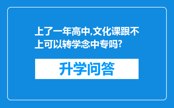 上了一年高中,文化课跟不上可以转学念中专吗?