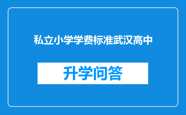 私立小学学费标准武汉高中