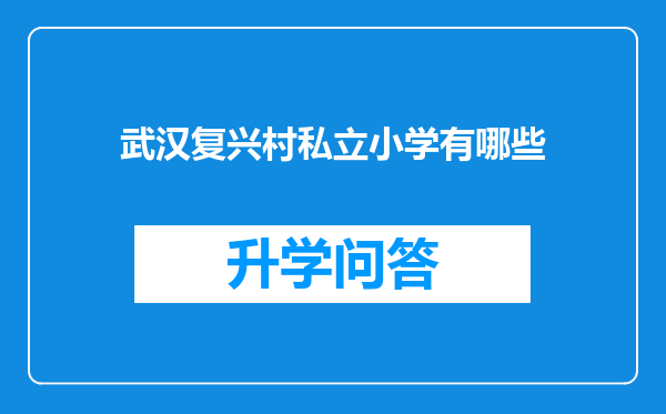 武汉复兴村私立小学有哪些