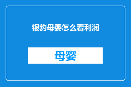银豹母婴怎么看利润(如何评估银豹母婴的利润表现？)