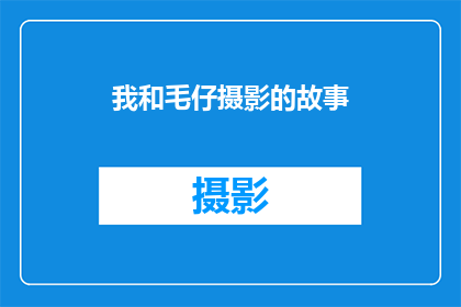 我和毛仔摄影的故事(我和毛仔摄影的故事：一段难忘的光影旅程)