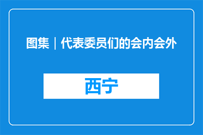 图集｜代表委员们的会内会外